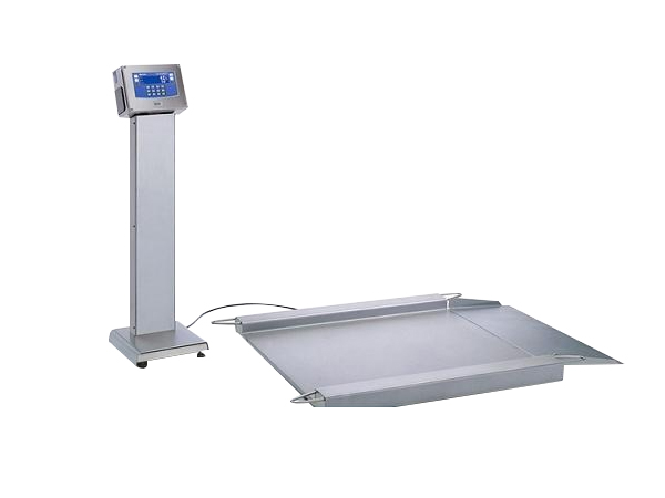 防爆式電子平臺(tái)秤